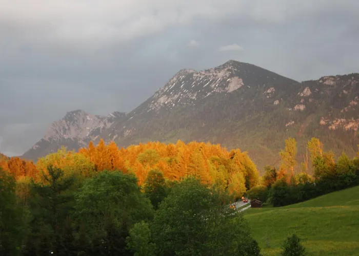 Haus Falkensee - Chiemgau Karte *
